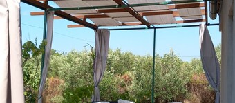 Guest house, Bed and Breakfast