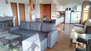 Fernseher, Kamin, DVD-Player, BĂŒcher