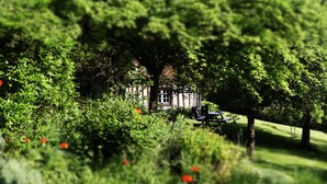 A lush garden with a wooden bench and a building in the background.