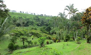 المنطقة المحيطة بالمنشأة