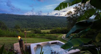 The Cavern on The Green. A unique hand-carved home. Quiet, great views