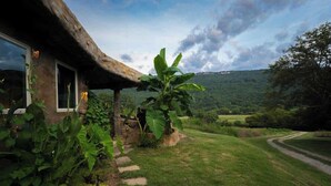 Une maison au toit de chaume, entourée d’une végétation luxuriante et bordée d’un sentier sinueux.
