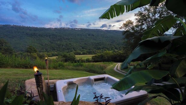 Un bain à remous entouré de verdure, avec vue sur une colline boisée.