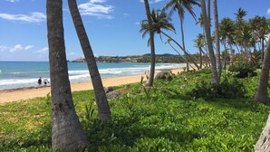 A beach with palm trees and a view of the ocean. - Ocean Front - 3 Bedroom/3.5 Bath with Terrace Fully Furnished (Humacao)