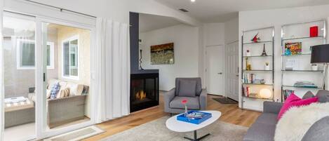 Smart TV, fireplace, books