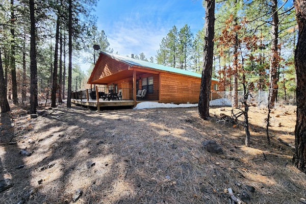 North View of Cabin