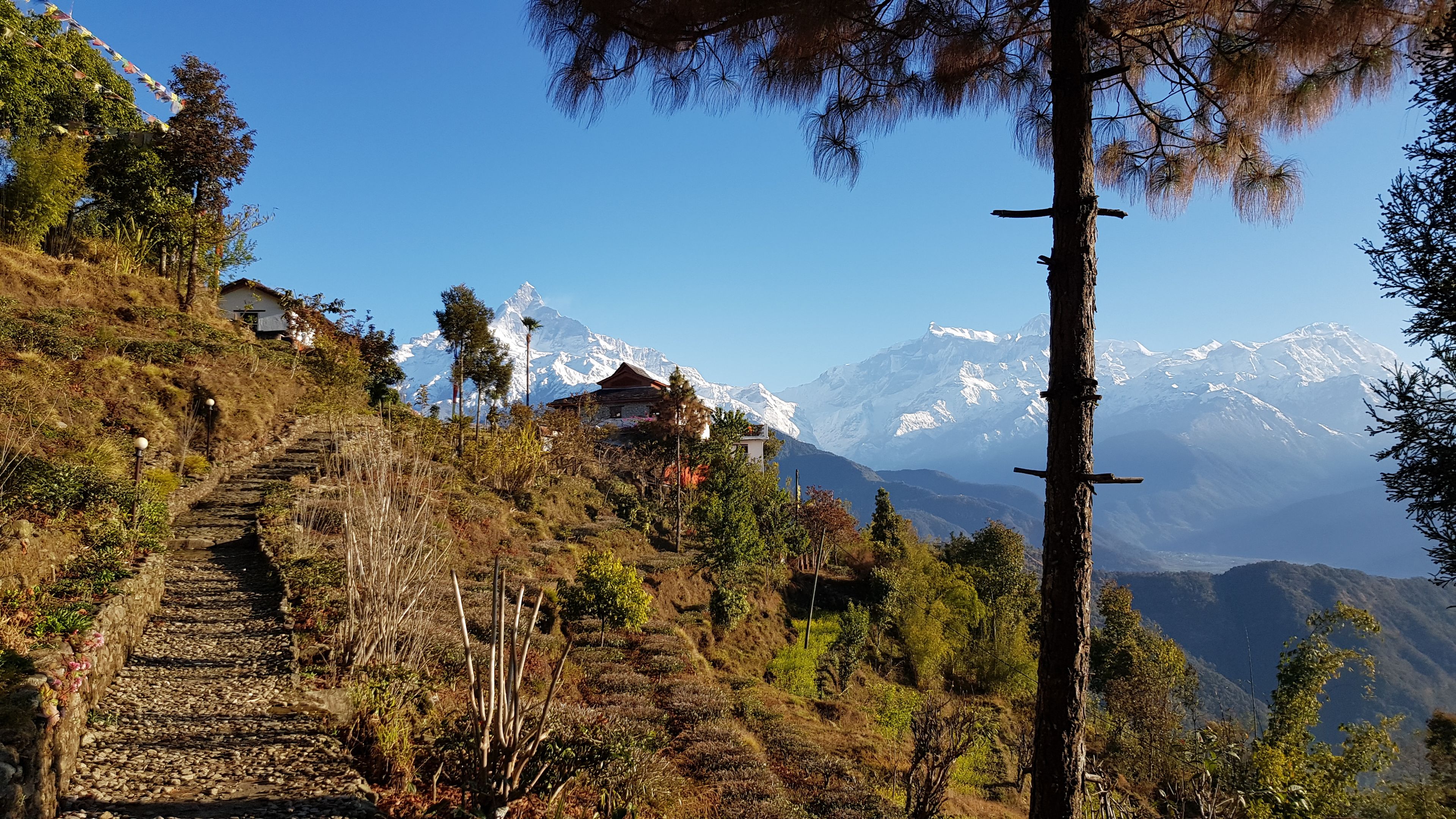 Un sendero de montaña con una escalera de piedra que asciende, rodeado de árboles y un pequeño edificio.