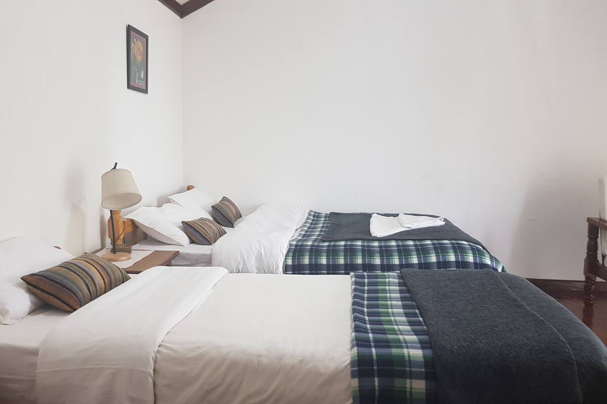 A room with two beds, each with white bedding and different colored blankets. There is a nightstand with a lamp and a framed picture on the wall.