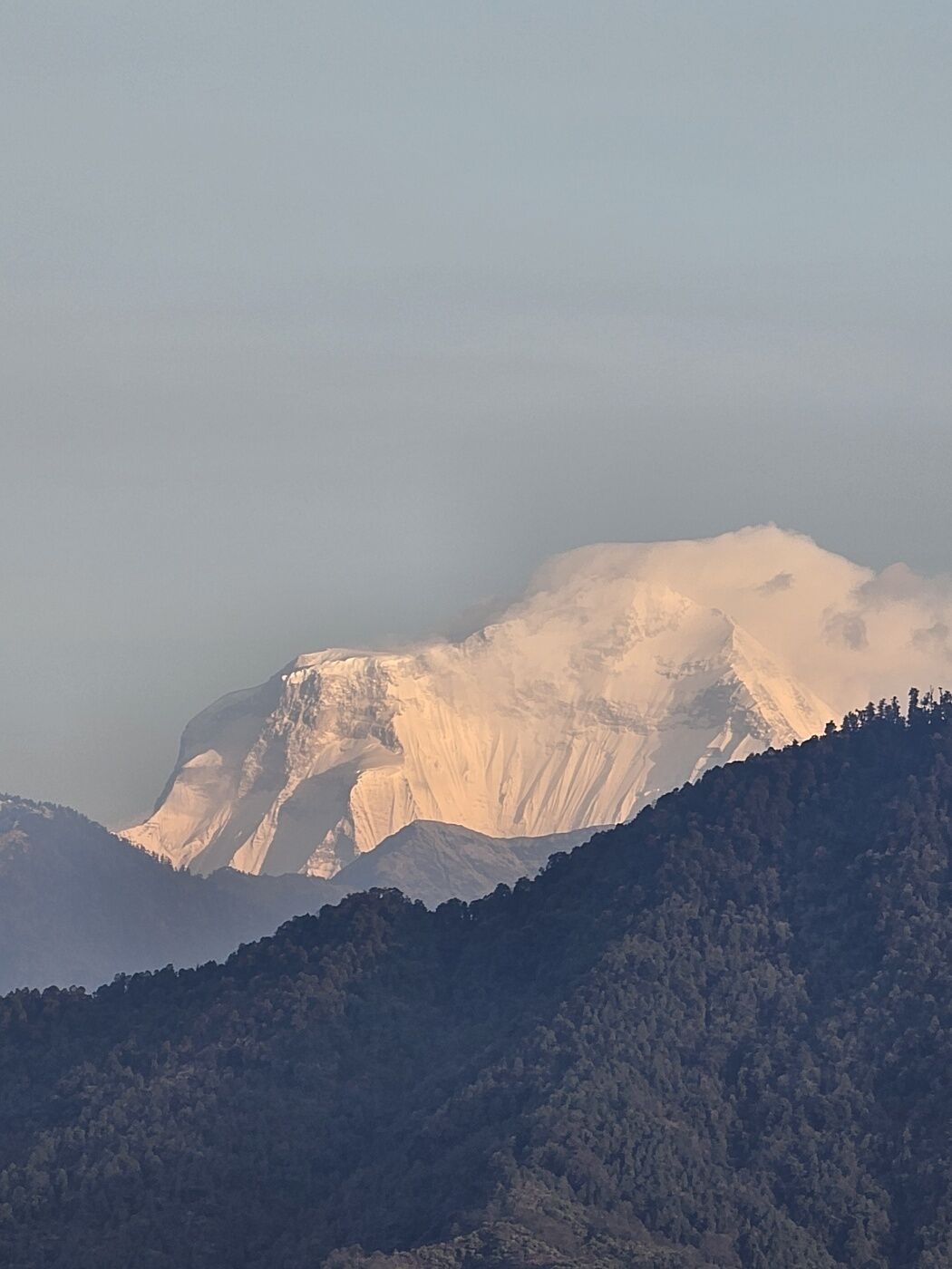 A mountain with a snow-capped peak and a forested foreground.