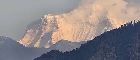 A mountain with a snow-capped peak and a forested foreground.