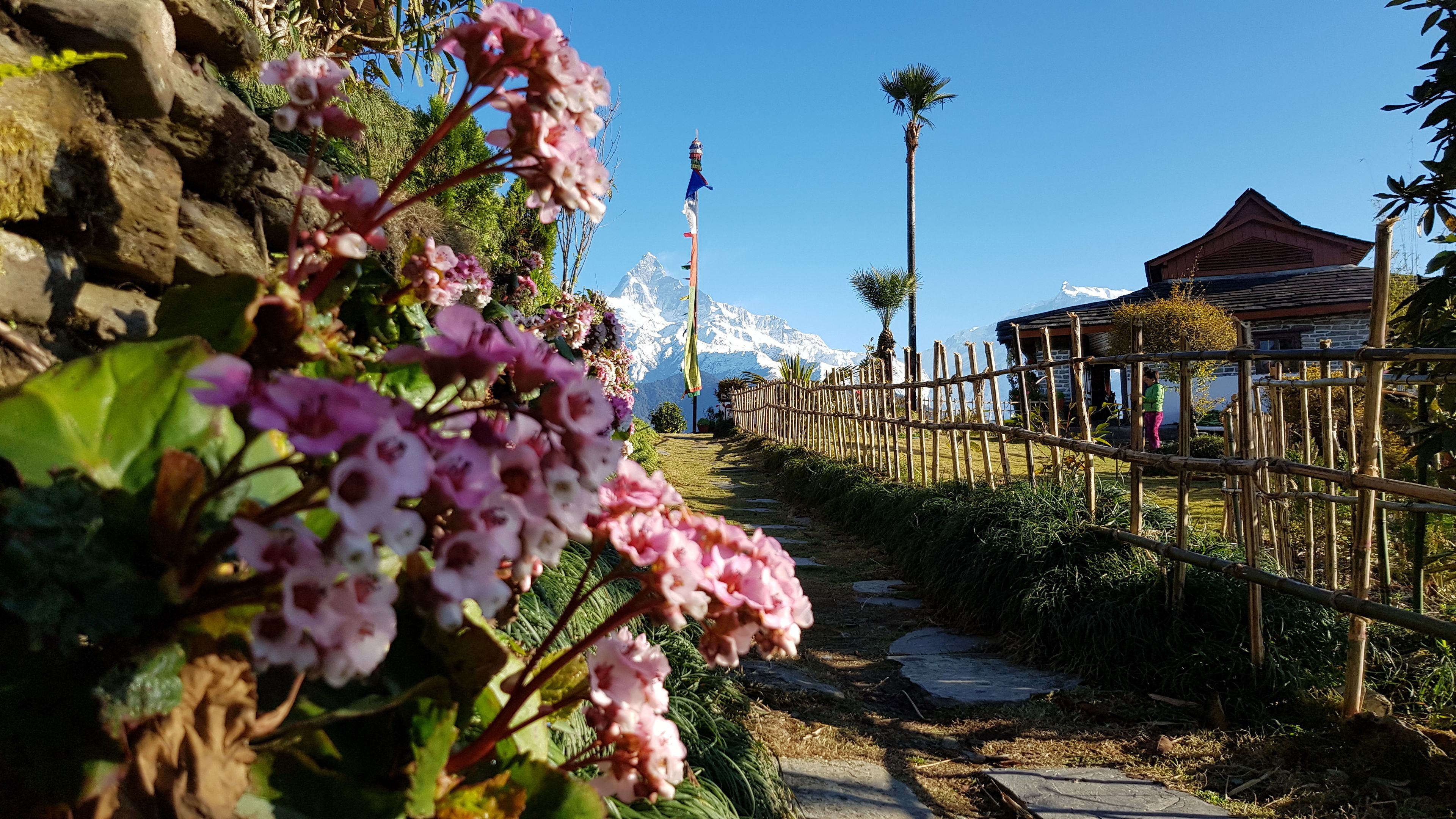 Diseño del edificio