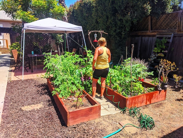 Enjoy a serene garden retreat with raised beds, a canopy tent, and potted plants surrounded by a deck with seating.