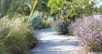 Quiet, Relaxing, Friendly Condo just a Walk across the street from the Beach!!