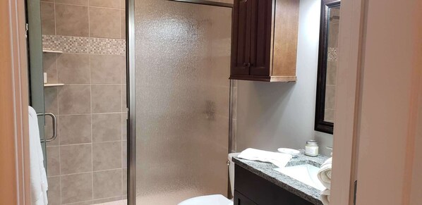 A bathroom with a glass shower door, a sink with a granite countertop, and a mirror above the sink.