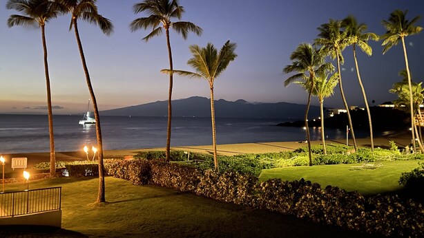 A nighttime view of a beach with palm trees, a golf course, and a boat on the water.