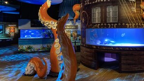 A large octopus sculpture in a themed restaurant setting with wooden decor and an aquarium. - Audrey House, Pet Friendly, Blocks from Beach (NORTH MYRTLE BEACH)