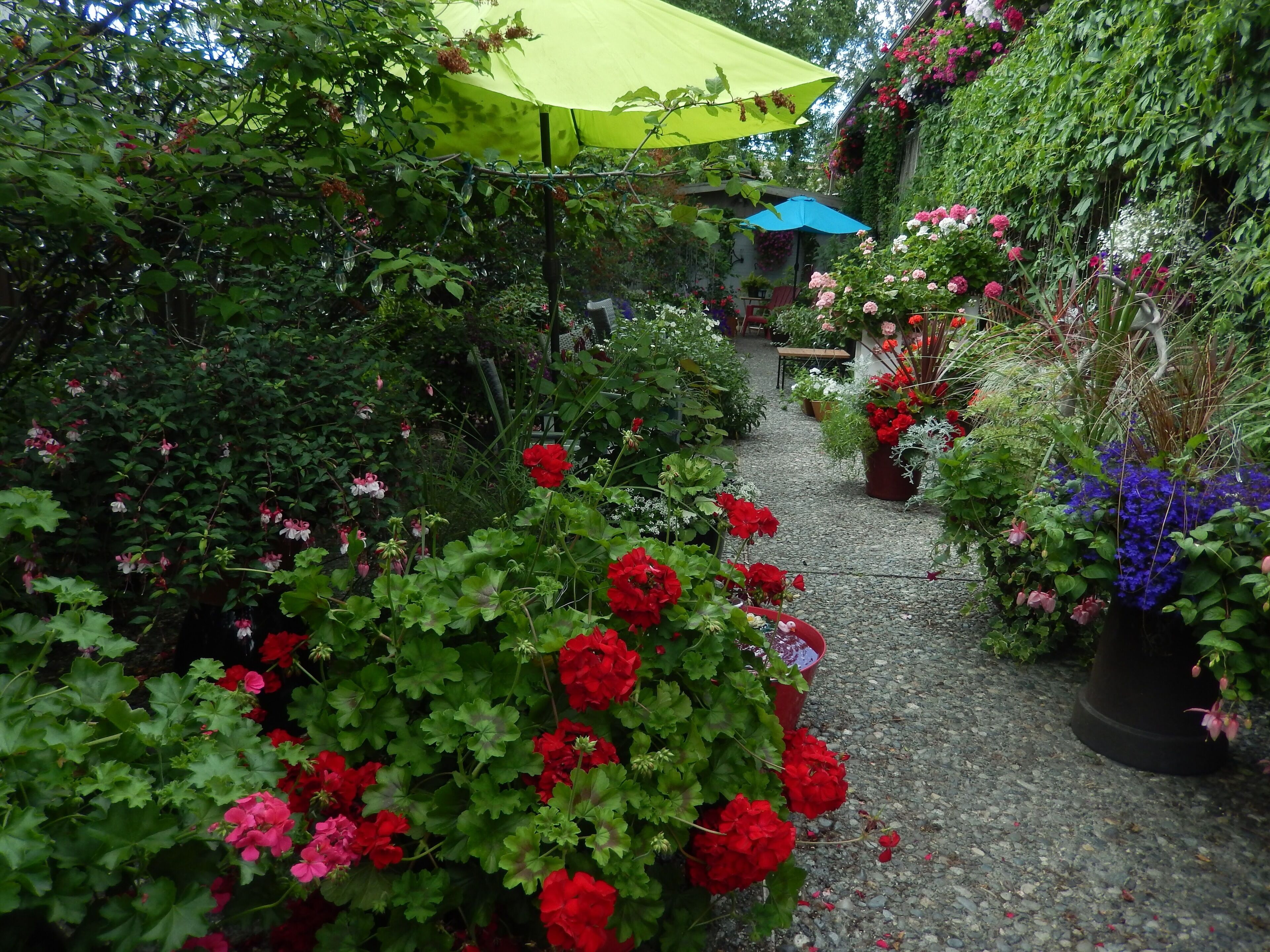 Áreas de la propiedad