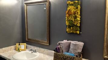 Combined shower/tub, hair dryer, towels, soap