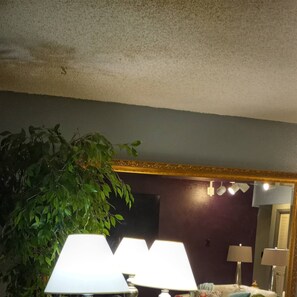 Smart TV, libros y videoteca 