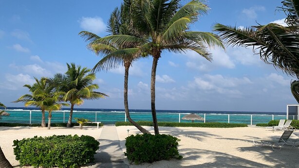 A beachside pathway leading to a sandy area with palm trees and a view of the ocean.
