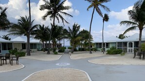 A resort with palm trees, a central pathway, and beach-facing buildings.