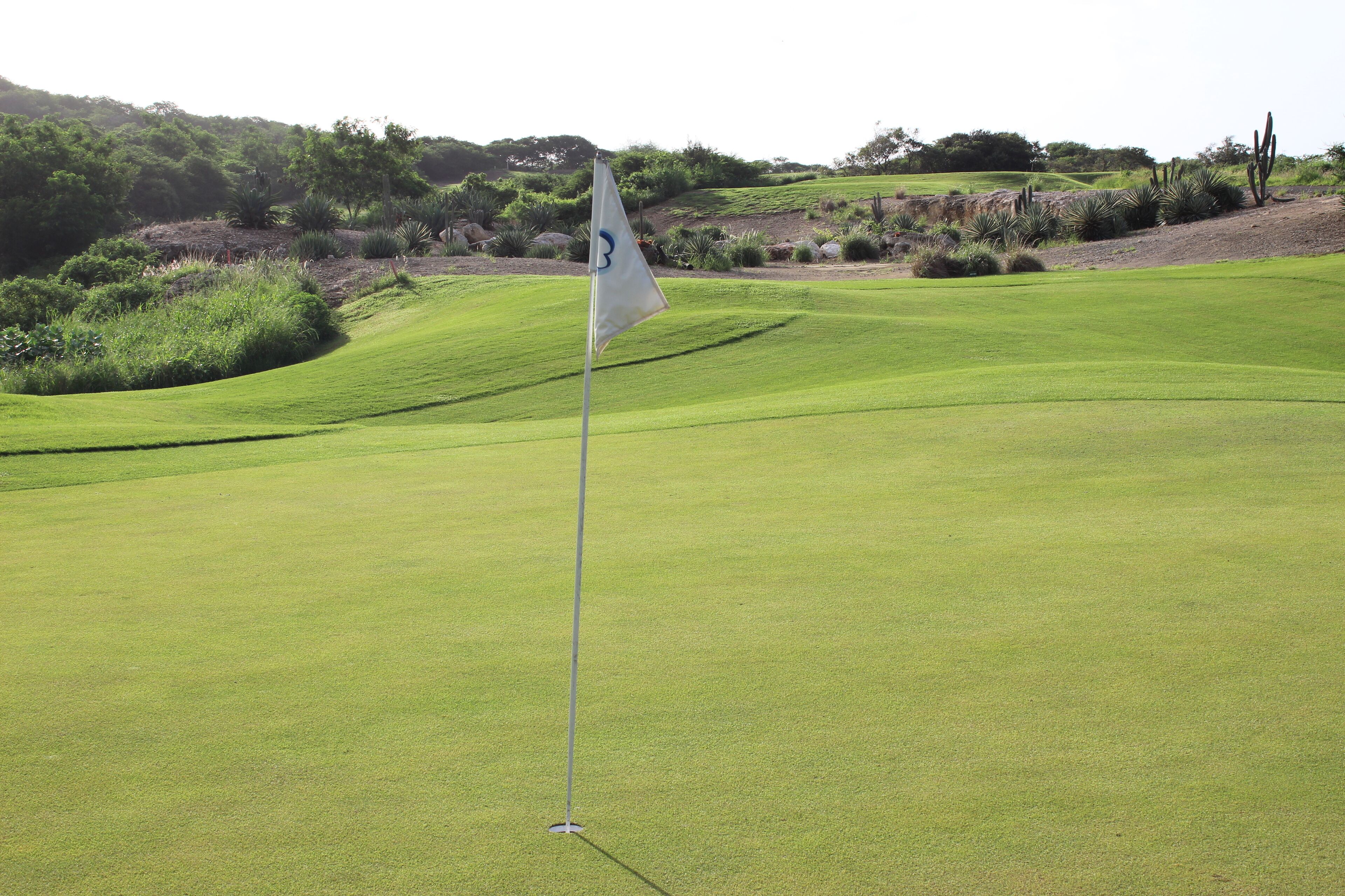 A golf course with a flagstick in the foreground, surrounded by well-maintained grass and desert vegetation.