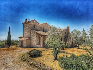 Exterior - Beautiful stone country house - wine tours arranged (Porchiano del Monte, Amelia)
