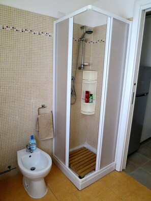 Shower, hair dryer, bidet, towels - Apartment "Heaven and Earth" (San Pietro a Mare)