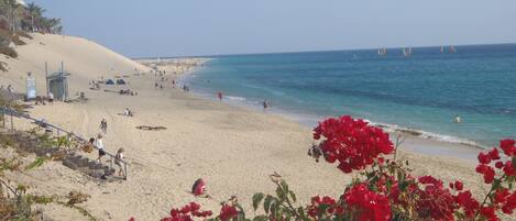 Ubicación cercana a la playa y toallas de playa