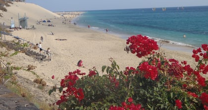 Spacious, large terrace, sunny, WiFi, from the sea, 250 m. from the beach