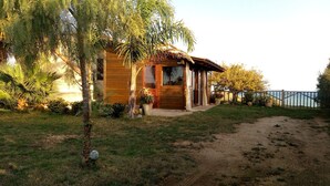 A wooden house with a thatched roof, surrounded by lush greenery and a dirt path leading to the entrance. - Vite & Mare - Semi-detached house Le Solette Porto Palo - Belice Reserve (Marinella)
