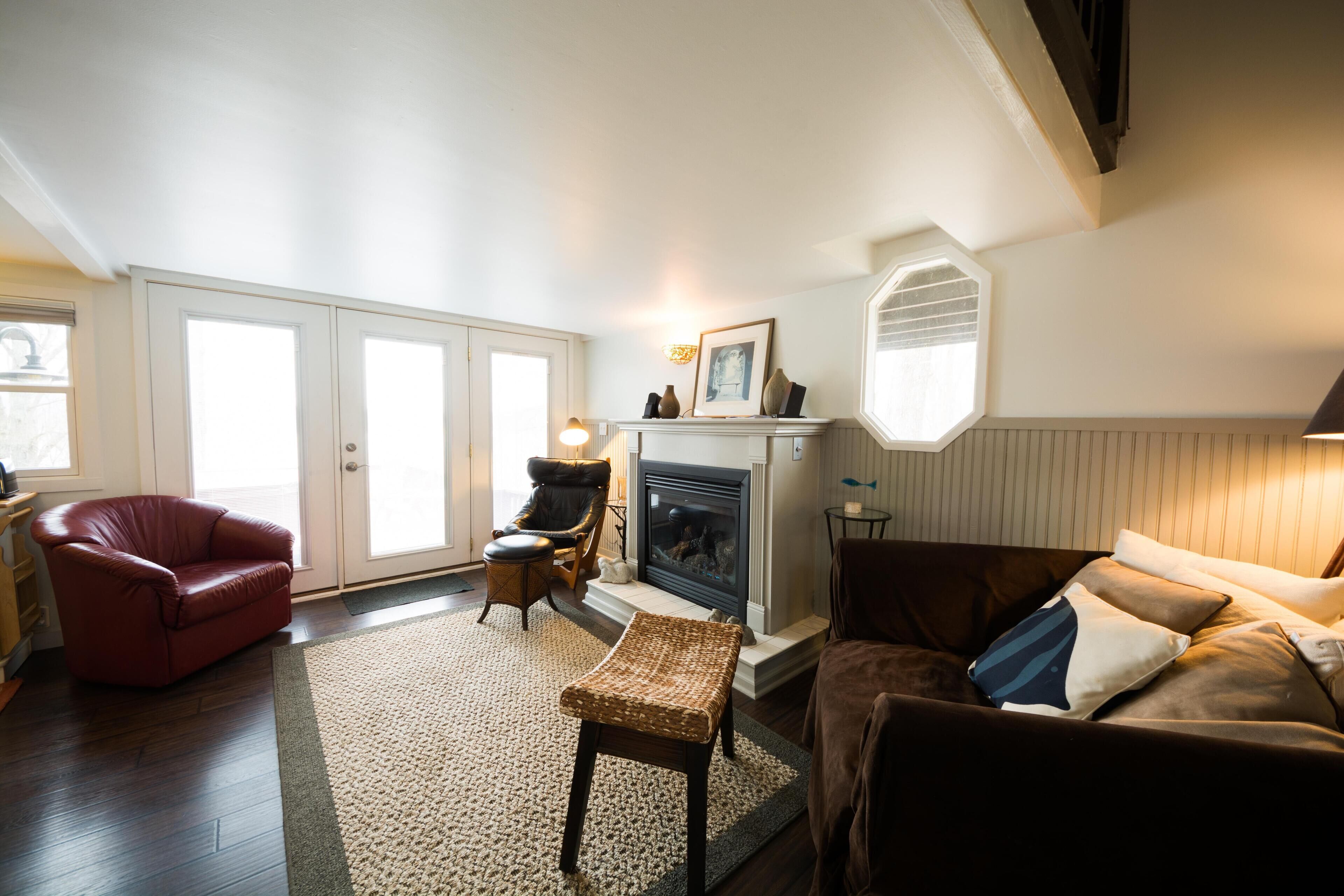 Télévision, cheminée, lecteur de DVD, livres