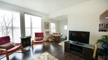 TV, fireplace, DVD player, books