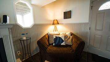 Télévision, cheminée, lecteur de DVD, livres