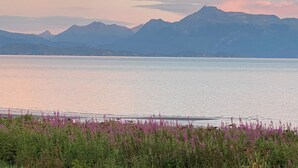 A lake with mountains in the background and purple flowers in the foreground. - The Lookout Lodge on Bishop's Beach with Spectacular views of Kachemak Bay! (Homer)