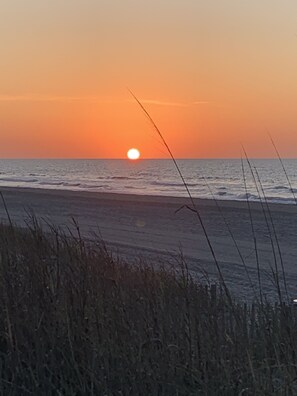 On the beach, sun-loungers - EXTREME OCEANFRONT - Heated Pool & Hot Tub / Linens & Gas grill inc. discounted (Surfside Beach)