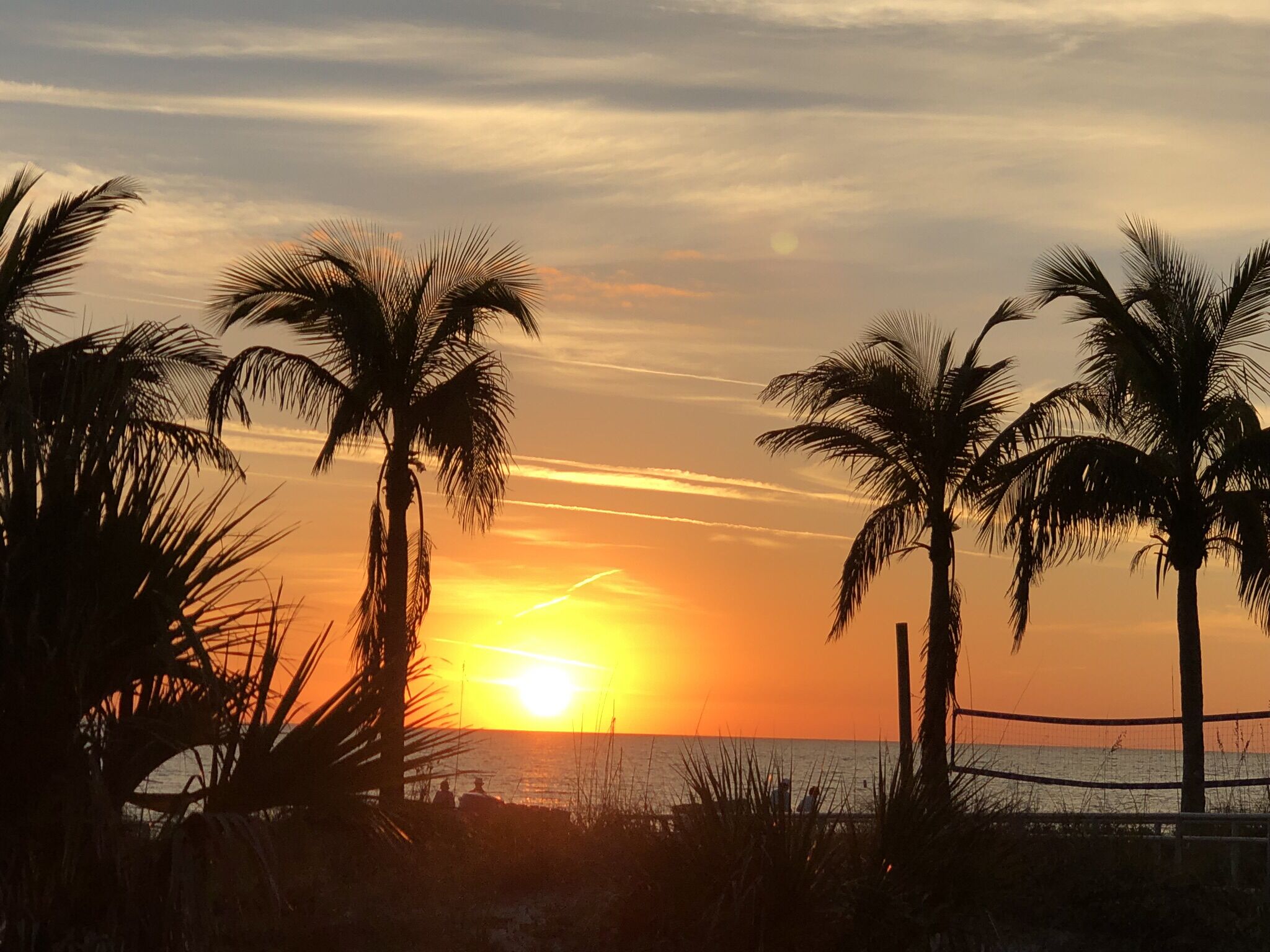 Nær stranden, solsenger og strandhåndklær