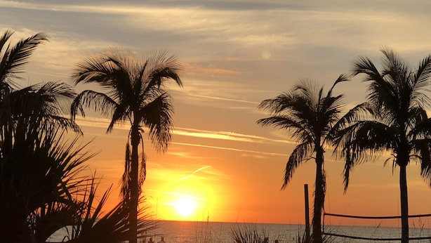 A sunset view with palm trees and a beach. - Bayside Condo with Brand New Interior, Walkable to BEACH, Retail, Dining & more! (Madeira Beach)