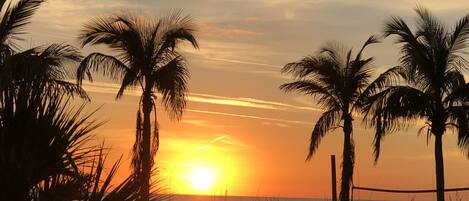 Plage à proximité, chaises longues, serviettes de plage