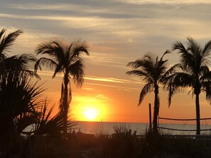 Vista al atardecer con palmeras y una playa.