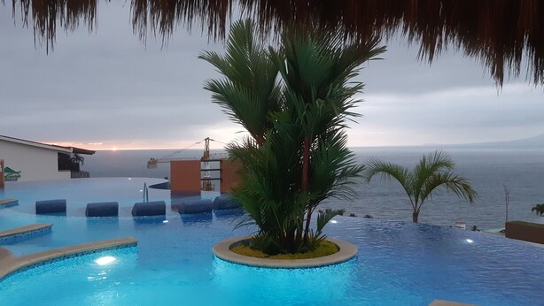 An infinity pool with a palm tree, a building, and a view of the ocean. - Executive 2 bed, 2 bath, Penthouse, Paradise Village, el Tigre, Isla Palmares (Nuevo Vallarta)