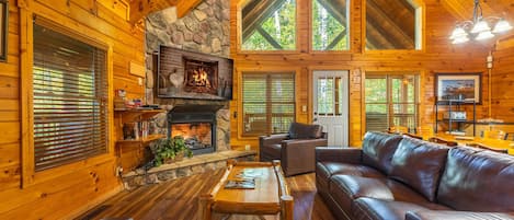 Smart TV, fireplace, video games, DVD player