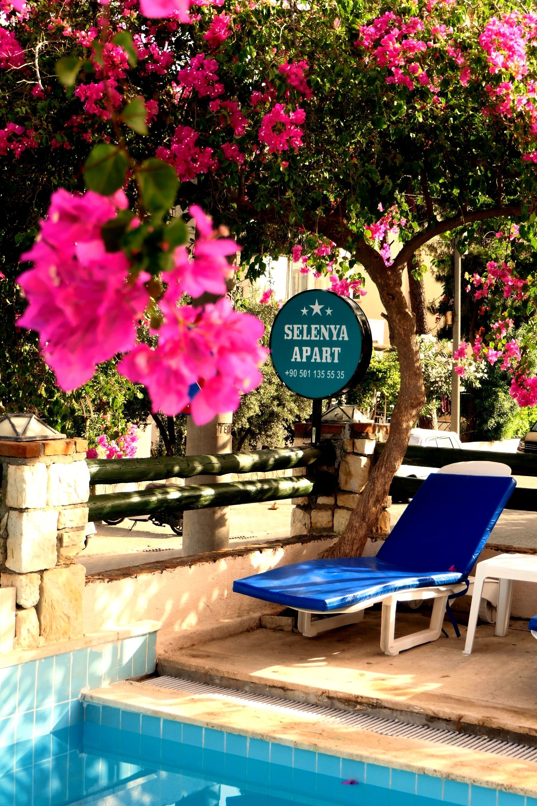 Foto - selenya apart