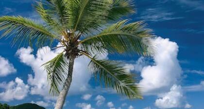 Amazing harbor views & central, gated location!! 5 en-suite baths!