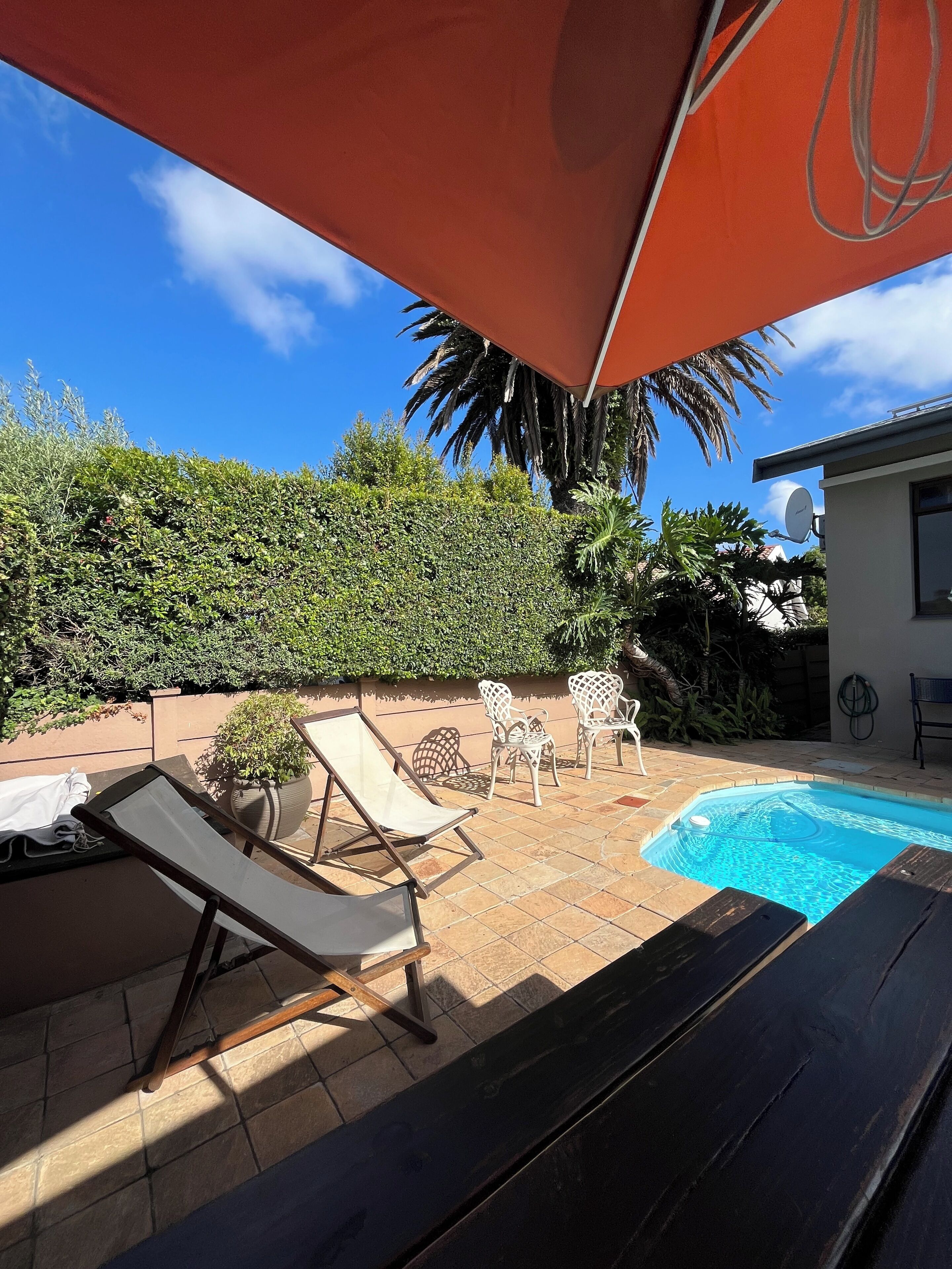 Un jardin avec une piscine, des chaises longues et un grand parasol.