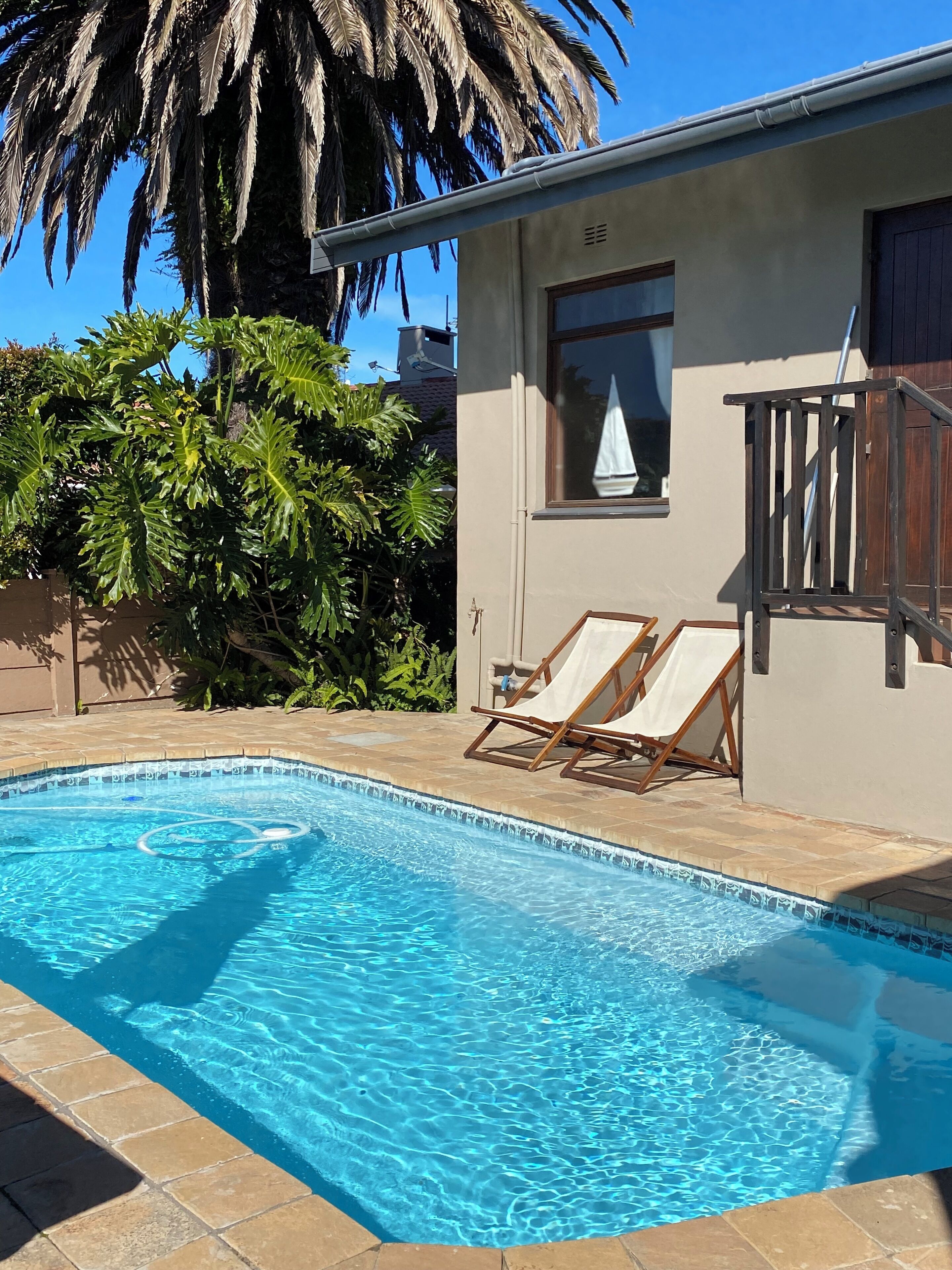 A swimming pool with two lounge chairs, a palm tree, and a building with a window and a balcony.