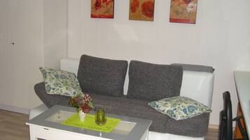 Fernseher, DVD-Player, Bücher