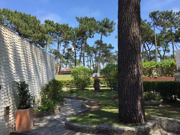 A garden with a stone pathway, a large tree, and a white textured wall.