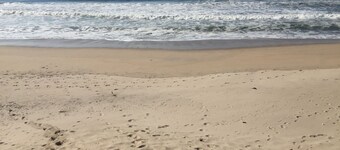 2 minutes to the beach, private swimming pool, 20 min to Oporto