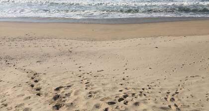 Ofir Beach House accÚs privé à la plage avec piscine 20 minutes Porto